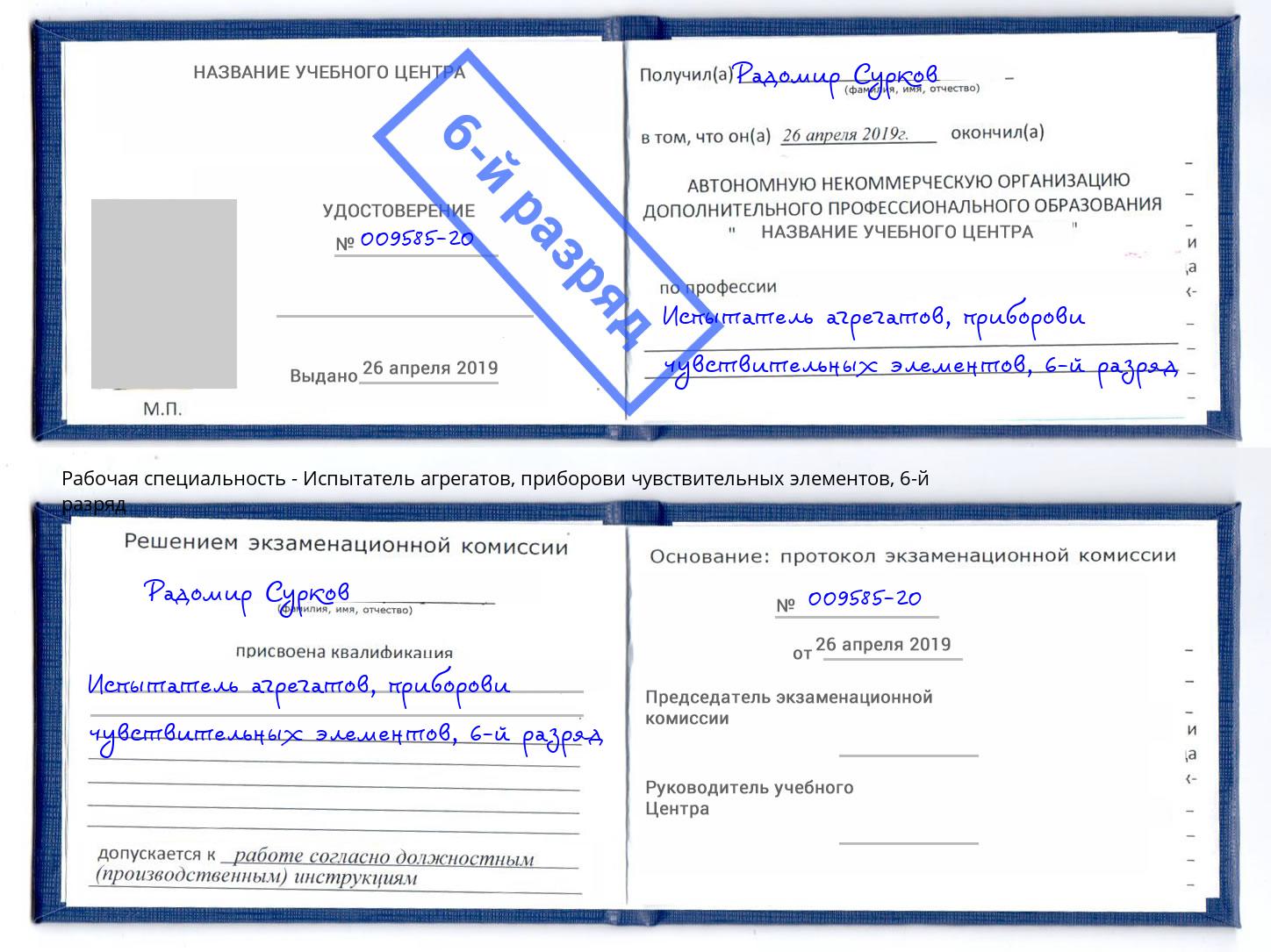 корочка 6-й разряд Испытатель агрегатов, приборови чувствительных элементов Петрозаводск