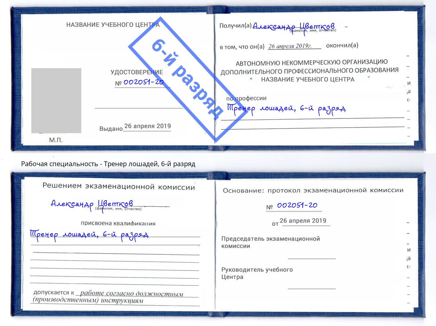 корочка 6-й разряд Тренер лошадей Петрозаводск