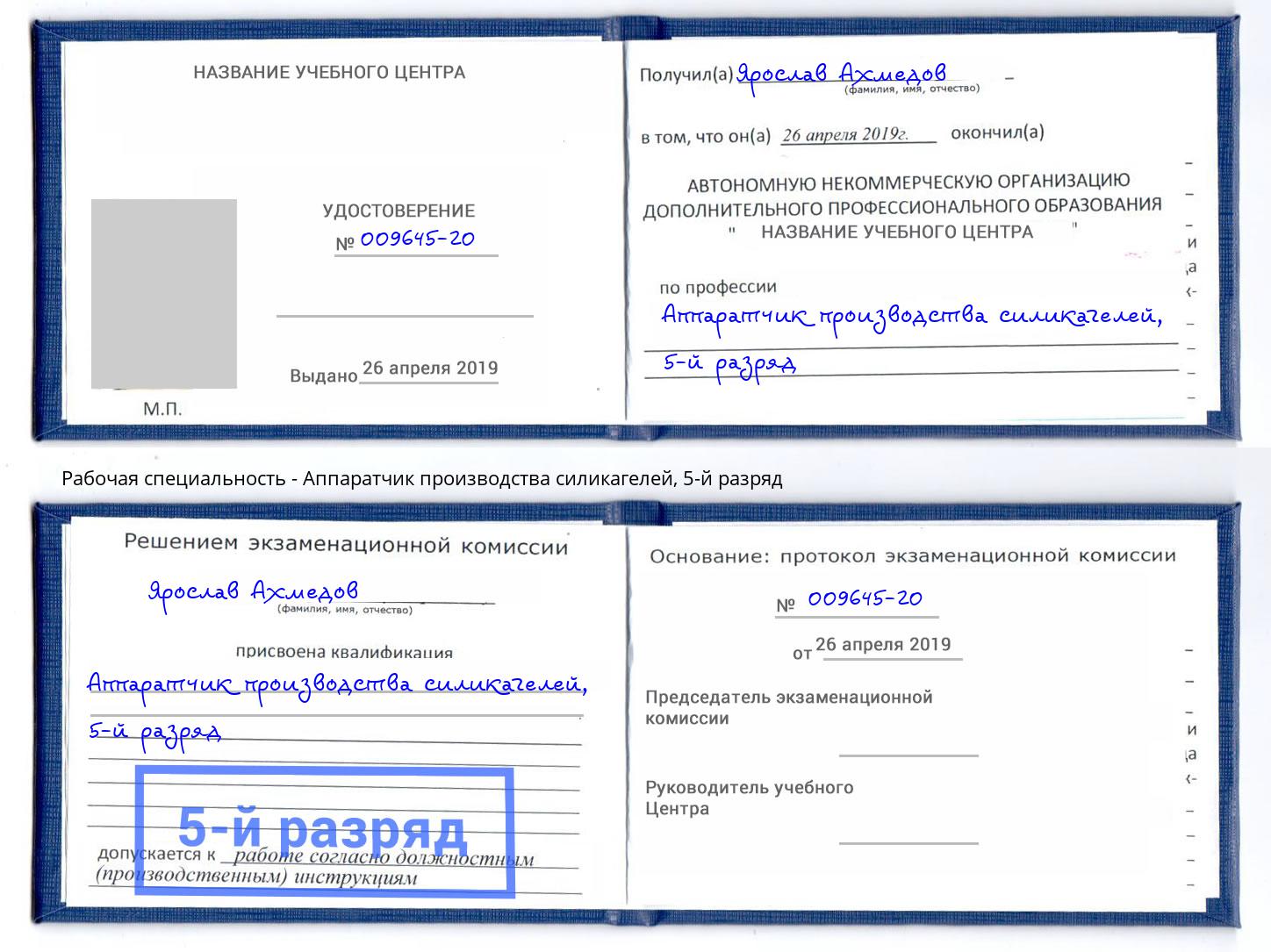 корочка 5-й разряд Аппаратчик производства силикагелей Петрозаводск
