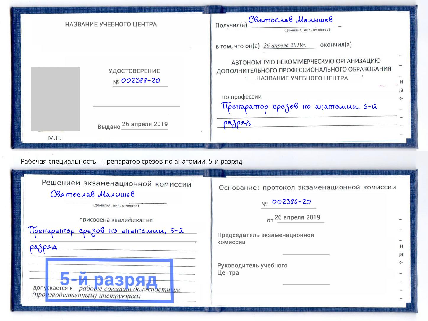 корочка 5-й разряд Препаратор срезов по анатомии Петрозаводск