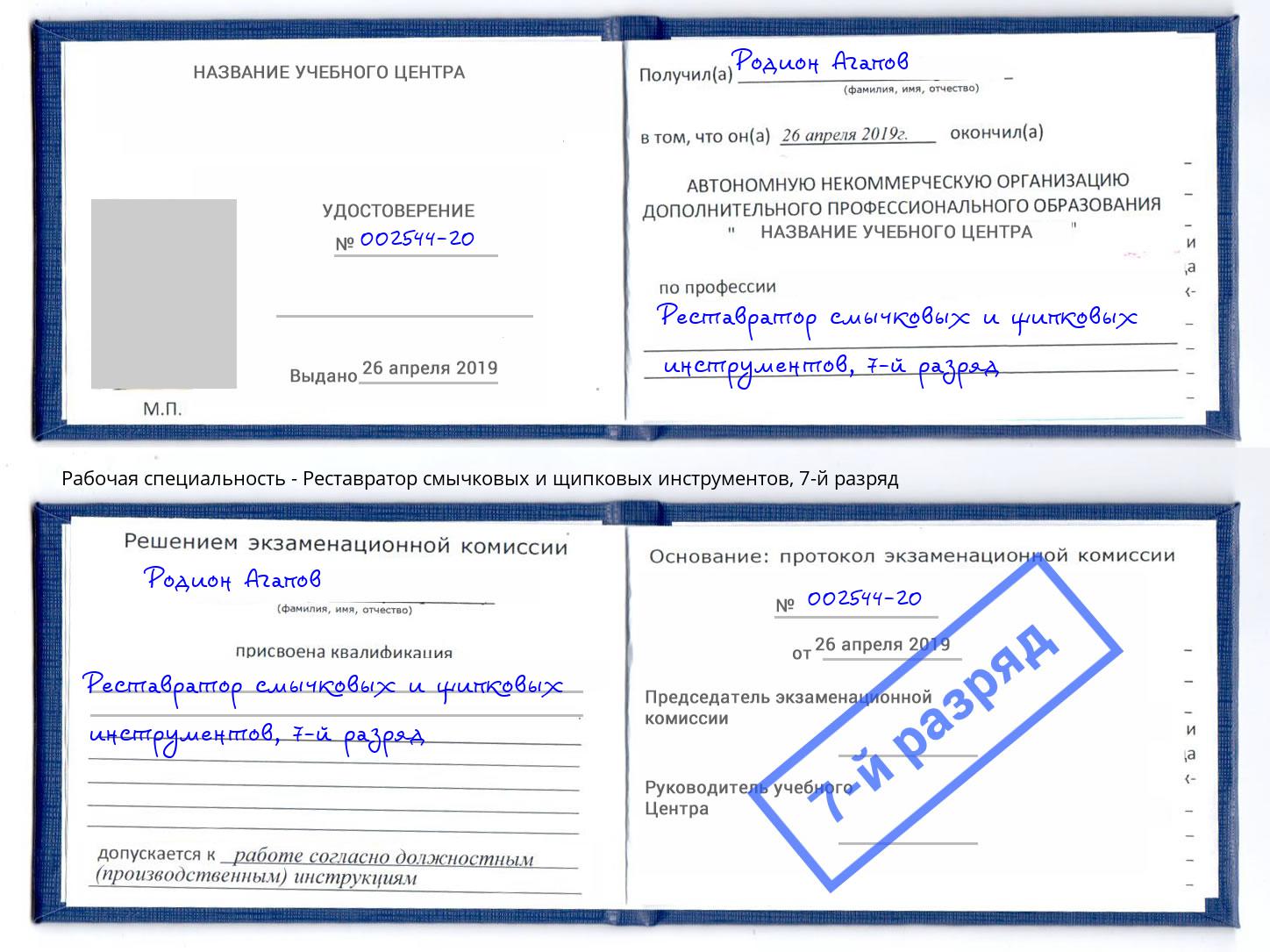 корочка 7-й разряд Реставратор смычковых и щипковых инструментов Петрозаводск