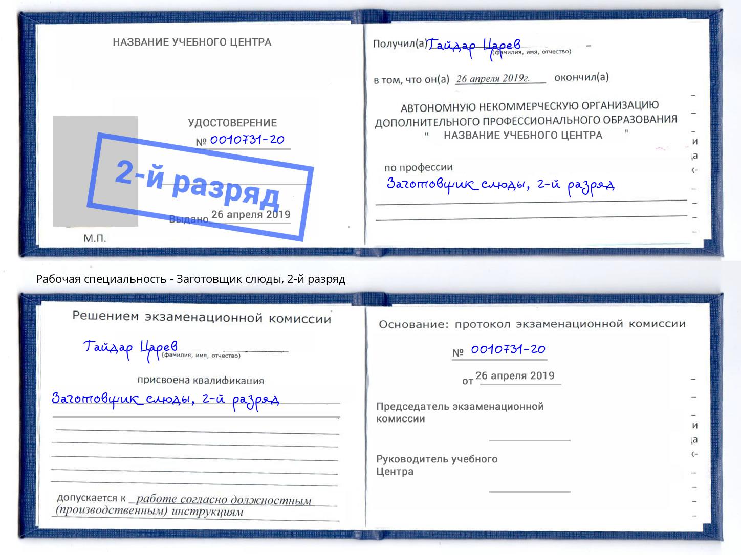 корочка 2-й разряд Заготовщик слюды Петрозаводск