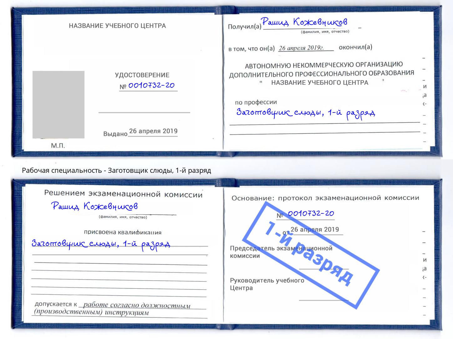 корочка 1-й разряд Заготовщик слюды Петрозаводск